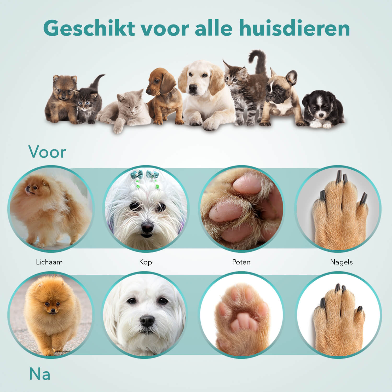 PetFriends Professionele 4-in-1 Hondentondeuse: Draadloos - Inclusief Nagelvijl Opzetstuk - De Gatgetwinkel