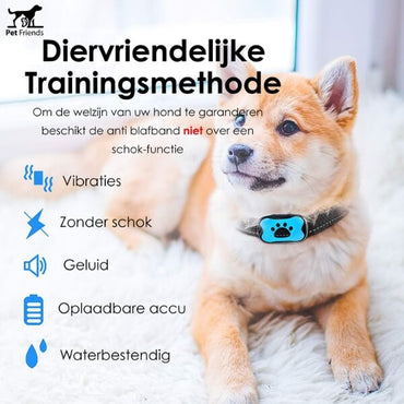 PetFriends Anti-Blafband zonder Schok: Inclusief Hondenfluit, USB-Oplaadbaar - De Gatgetwinkel