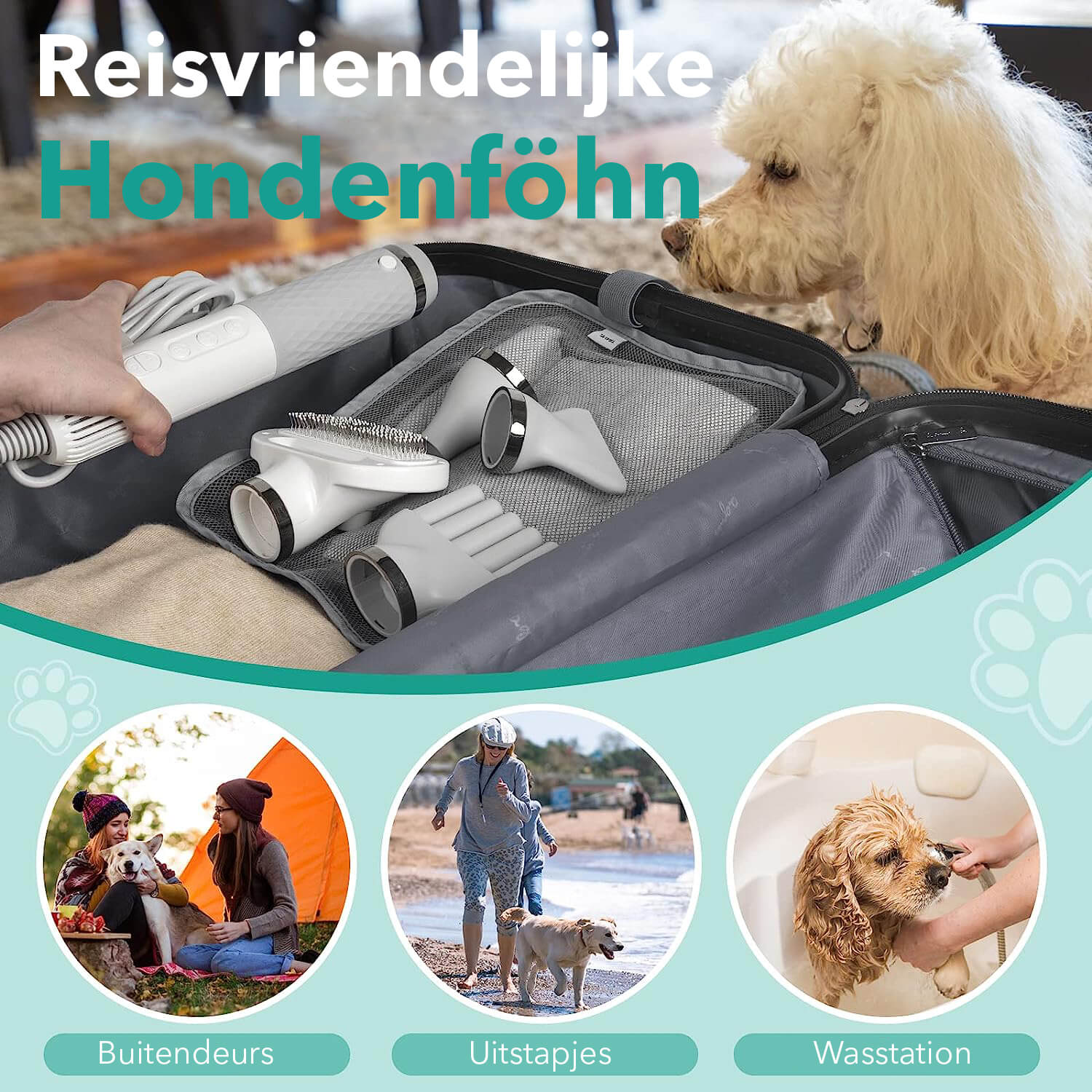 PetFriends Hondenföhn: Compact & Draagbaar - Waterblazer met 4 Opzetstukken - De Gatgetwinkel